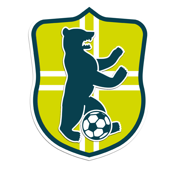 Aufkleber-für-den-Fussballverein